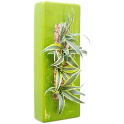 Pflanzen In Keramik, BxHxT: 40 X 16 X 22 Cm, Grün