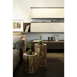 Kibonu Drachenbaum, Dracaena Marginata »Dracaena Marginata« -Wohnen Wohndeko Verkäufe unnamed file 803