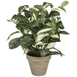 Mica® Decorations Kunstpflanze, Cordyline, Grün